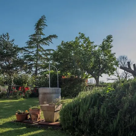 Alberi With Pool